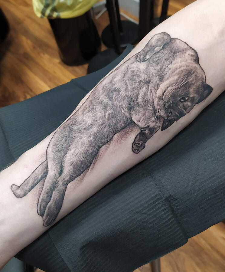 Happy Cat Memorial tattoo of a pet cat chilling on his back and enjoying life. Realistic whipshading technique.